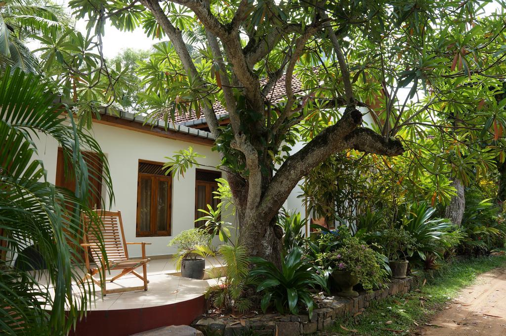 Tandem Guesthouse Hikkaduwa Extérieur photo
