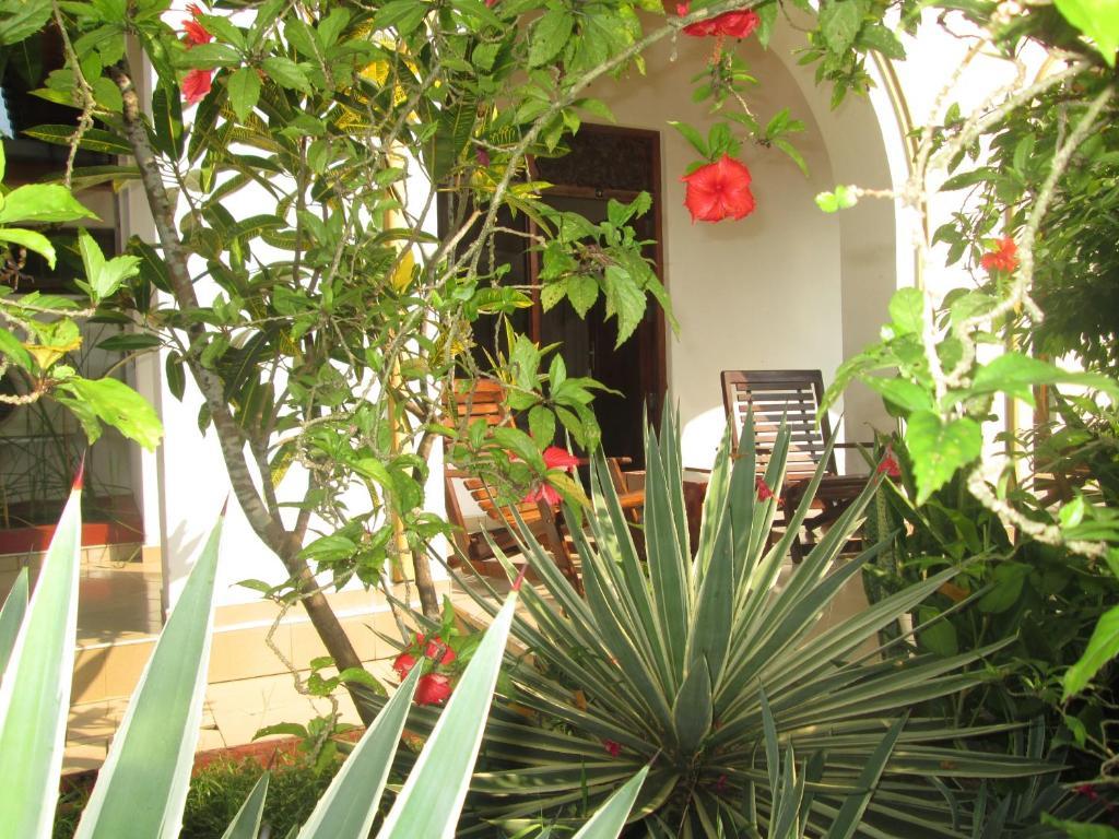 Tandem Guesthouse Hikkaduwa Extérieur photo