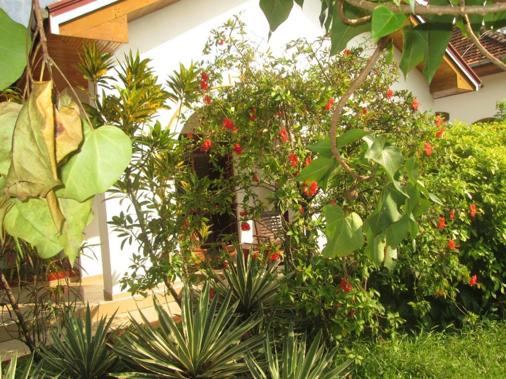 Tandem Guesthouse Hikkaduwa Extérieur photo