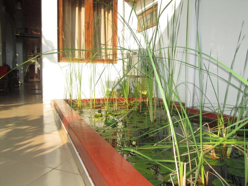 Tandem Guesthouse Hikkaduwa Extérieur photo